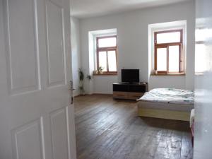 Apartman apartman &Scaron;palek Vodňany Csehorsz&aacute;g