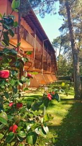 Appart'hotels Residence Hoteliere les Acanthes : photos des chambres