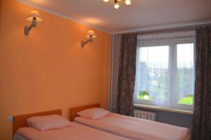 Apartament Romana