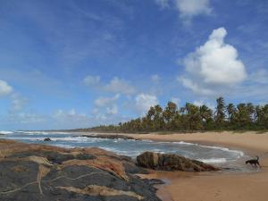 Pousada Araçás Village