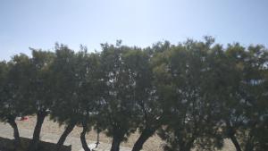 Hotel Zannet Paros Greece