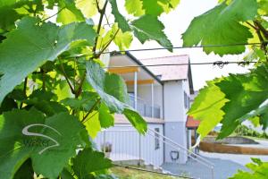 Walters Weinquartier