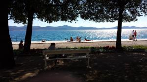 Little Cosy Apartment