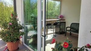 Dream Venice Airport