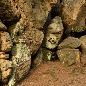 Dům bratří Čapků