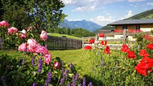Ferienhaus Heiderand