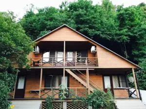Teremok Guest House - Akhvadzha