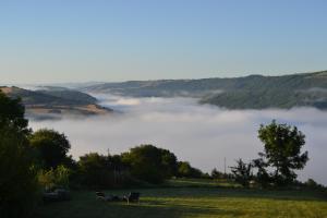 Maisons de vacances La Colline du Chat Perche : photos des chambres