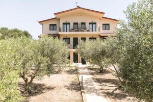 Olive Tree Apartments Halkidiki Greece