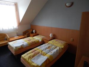 Standard Twin Room room in Penzion U Kašných