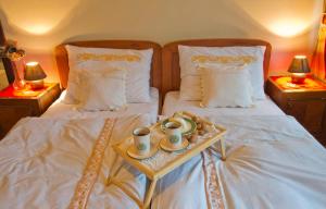 Guesthouse Žganjer