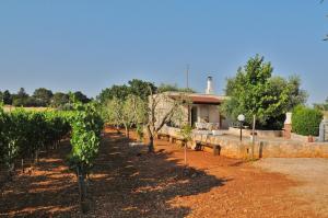 Trulli Cicerone
