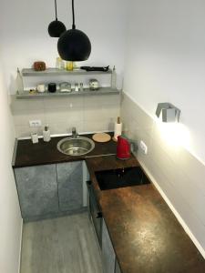 Apartment Auer_Belgrade