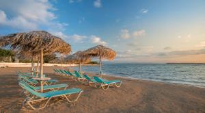 Oasis Beach Hotel Agistri Greece