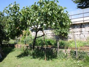 Apartment Vesna Opatija free parking