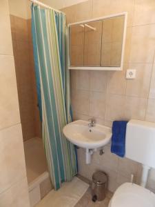 Apartment Ivana
