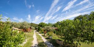 Maisons de vacances Au Pays de Cocagne : photos des chambres