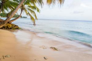 Darrel Cot Beachfront Cottage