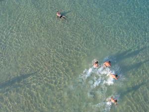 Endless Blue Sea Resort Thassos Greece