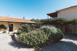 Panorama Apartments Zakynthos Greece