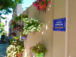 Sun Rise Hotel Apartments Evia Greece