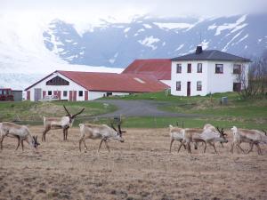 Accommodation in North Iceland