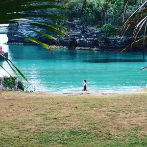 Lemon and Ginger - Saint George