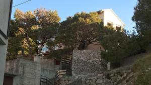 Zirje Accommodation
