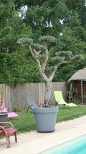 Maisons de vacances Le gite de la Lombriere : photos des chambres