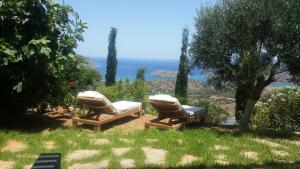 Villa Eureka Lasithi Greece