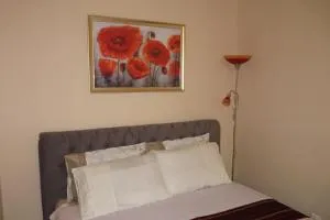 Apartament Planty - 扎莫希奇