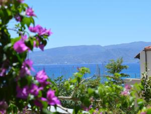 Mantraki Hotel Apartments Lasithi Greece