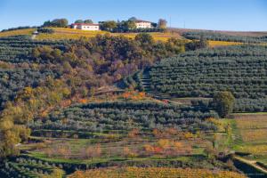 Agriturismo Casa Zen