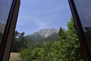 Hotels Le Vizzavona : photos des chambres
