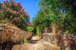 Porto Gerakas Villas Zakynthos Greece