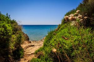 Porto Gerakas Villas Zakynthos Greece