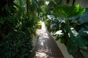 Tamarindo Blue Apartments