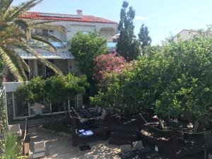 Guesthouse Punta Mira - Beachfront 