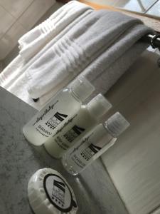 The Elegant Lodge Menlo Park