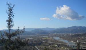 Apartment mit Gartenblick