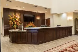 Skyline Hotel and Casino - لاس فيغاس