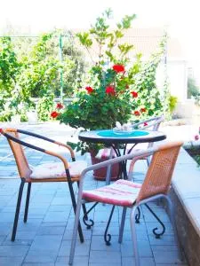 Apartment Nives - 迪可罗