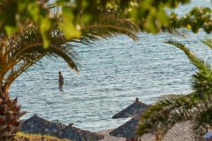 Alexandra Beach Spa Resort Thassos Greece