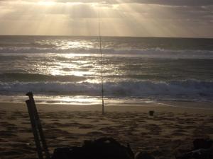 Maisons de vacances Salamandre et Hippocampe : photos des chambres