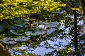 Håkesgård Bed&Garden