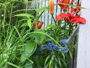 Dragonfly Guest House