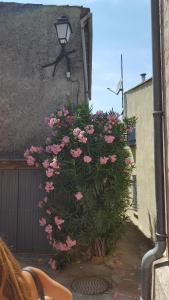 Maisons de vacances La petite chataigne de Collobrieres : photos des chambres