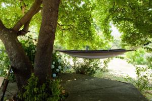 Mirsini Apartments Nisos-Samothraki Greece