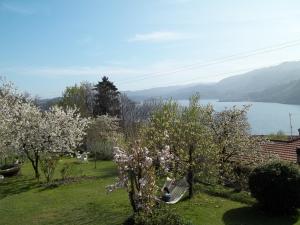 Aurora Suite apartment img42