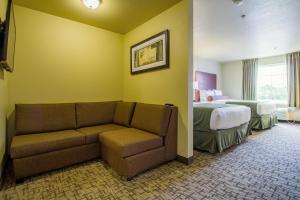 Deluxe Queen Studio  room in Cobblestone Hotel & Suites - Orrville